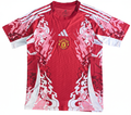 25-26 special edition Manchester United